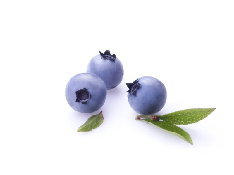 Three wild blueberries with soft blue-violet bloom and green leaves, photographed on white.