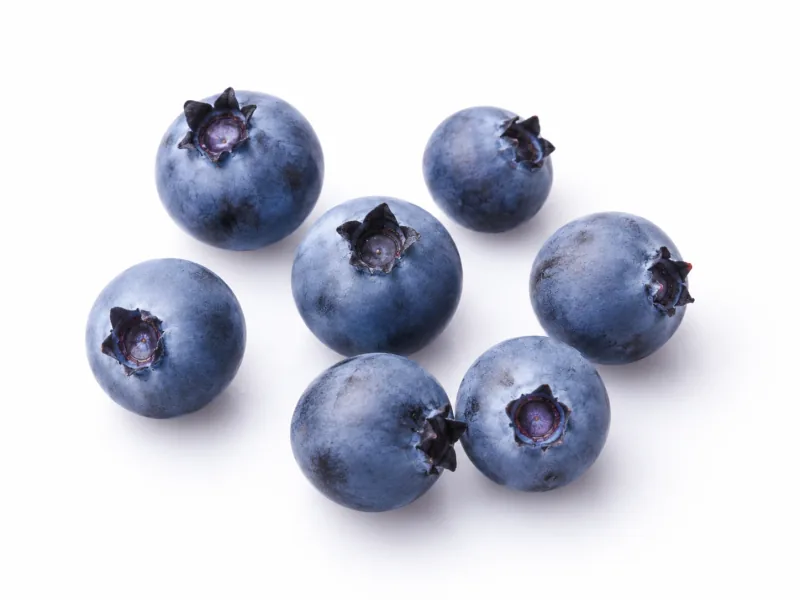 Seven isolated wild blueberries with varied blue-violet skins and soft shadows on white.