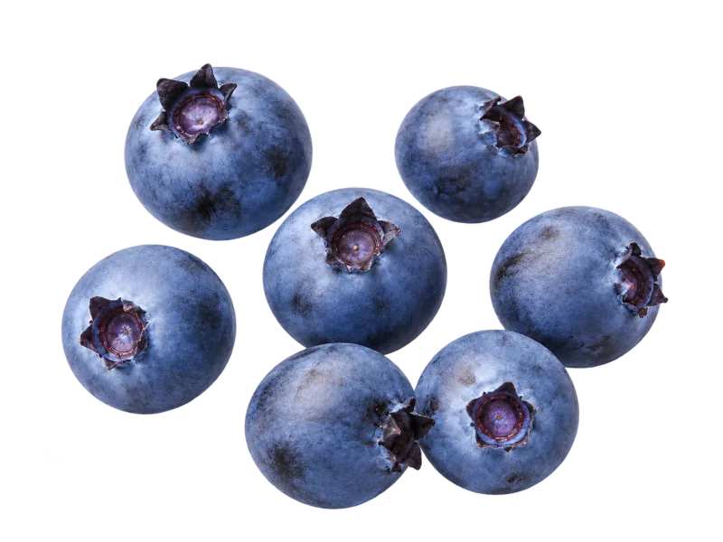 Seven isolated wild blueberries with dusty blue skins and varied blossom crowns, on a transparent background.