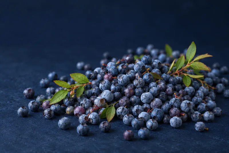 A cluster of small wild blueberries with green leaves on a deep navy surface.